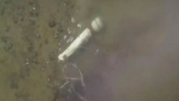 लोगों को हैरान कर रही ये चीज 