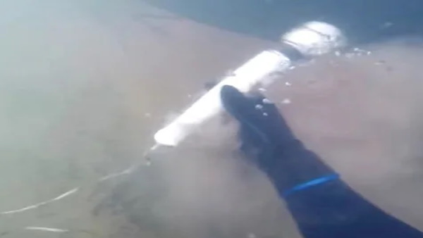 समुद्र की गहराइयों में शख्स के हाथ लगी ऐसी ये चीज 