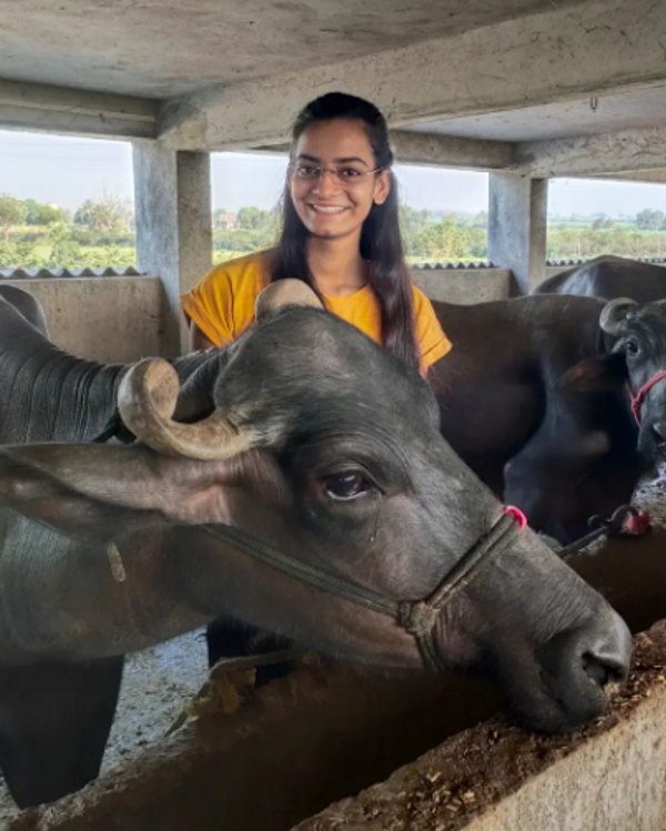 दो मंजिला मवेशी शेड बनवाया