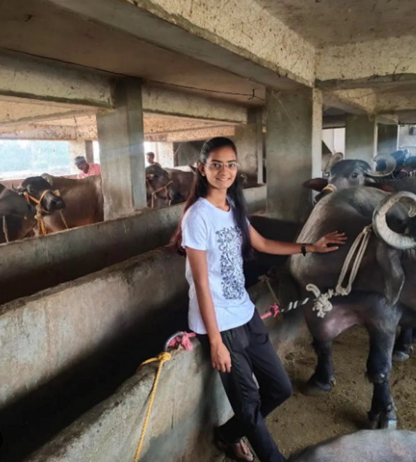 श्रद्धा पशुसंवर्धन व दुग्ध व्यवसाय प्रशिक्षण केंद्र निघोज