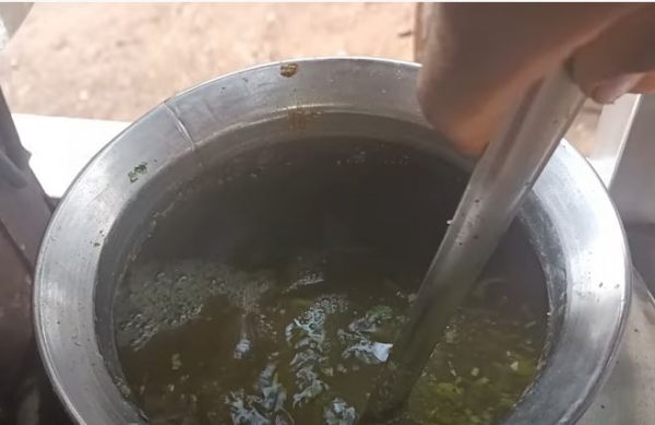 पानी के बैक्टीरिया से बीमारी !