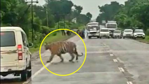 बड़ी संख्या में वाहन सवारों की कतार