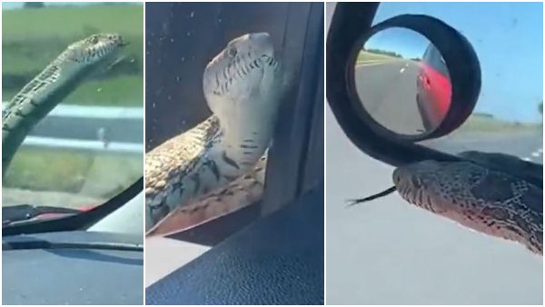 कार दुर्घटना की आशंका