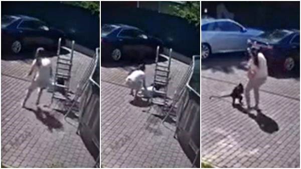 पॉलीना पर ऐसे झपटा बंदर