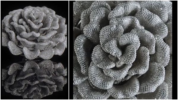 अंगूठी में 24,679 हीरे सेट