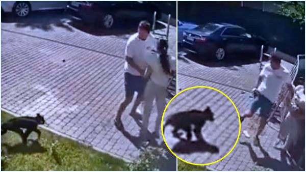 हाथ और पैर में गहरे घाव 