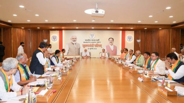 pm modi meets cms of bjp nda states