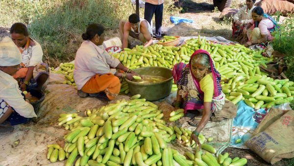 खेत में खुद आता है व्यापारी, किसानों को वाजिब दाम