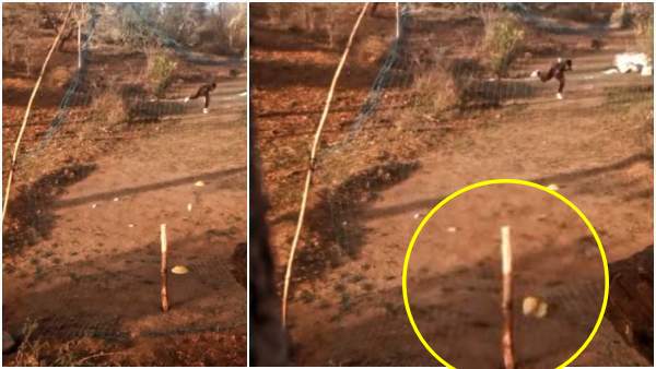 लड़के में दम तो है... लड़के में दम तो है...