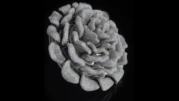 'मशरूम की पंखुड़ियों' पर 24 हजार हीरे