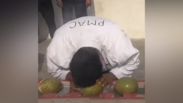 टूटते नारियल से चकराए यूजर्स