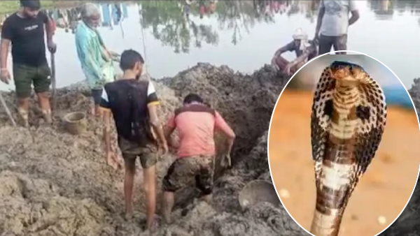 सांप के काटने से हुई युवक की मौत