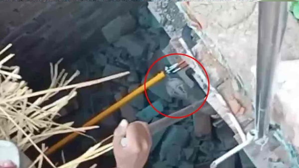 दीवार तोड़कर पकड़ा गया सांप