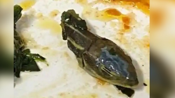 21 जुलाई की घटना का वीडियो वायरल 21 जुलाई की घटना का वीडियो वायरल