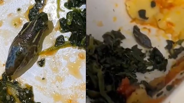 आप भी देखिए ये हैरान कर देने वाली यह वीडियो आप भी देखिए ये हैरान कर देने वाली यह वीडियो