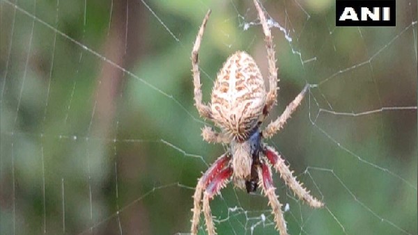 पहले भी हो चुकी ऐसी घटना