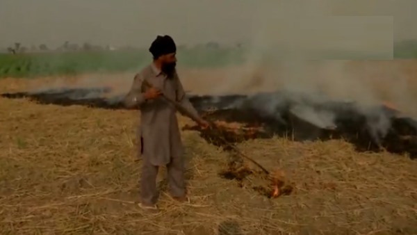 Farmers do not burn stubble in the fields, AAP government will compensate you, know how much you will get?
