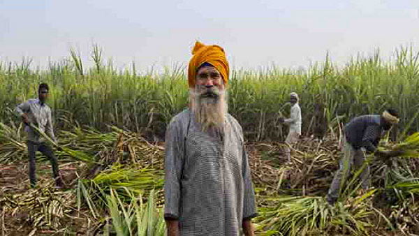 पराली को लेकर 18 जिले राडार पर 