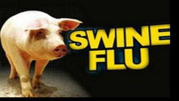 क्या है स्वाइन फ्लू? क्या है स्वाइन फ्लू?