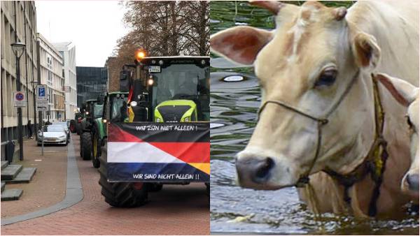 यूरोप में जलवायु परिवर्तन