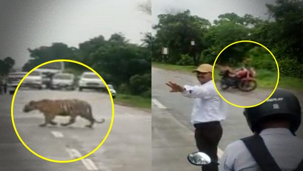 ट्रैफिक पुलिस कॉन्स्टेबल की समझदारी