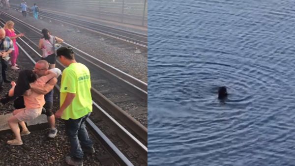 महिला ने नदी में लगा दी छलांग