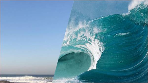 48 विभिन्न प्रजातियों की खोज