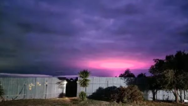 हैरान करने वाला हुआ खुलासा