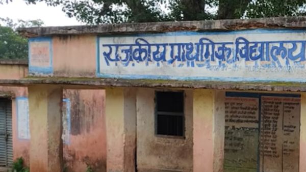 'बिस्किट दोगे तो सब बताऊंगा'