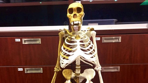 आज के इंसानों से कम थी लंबाई