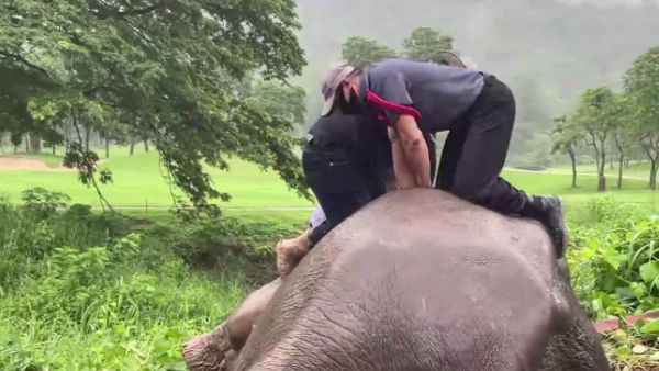डॉक्टरों ने किया बेहोश