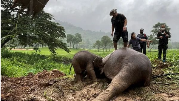 बेहोश मां को देख बच्चा हुआ परेशान