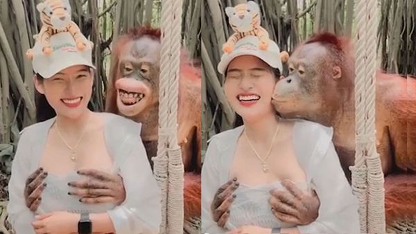 थाइलैंड के जू का है वीडियो थाइलैंड के जू का है वीडियो