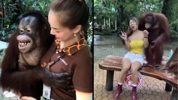 युवक ने मांगी माफी युवक ने मांगी माफी