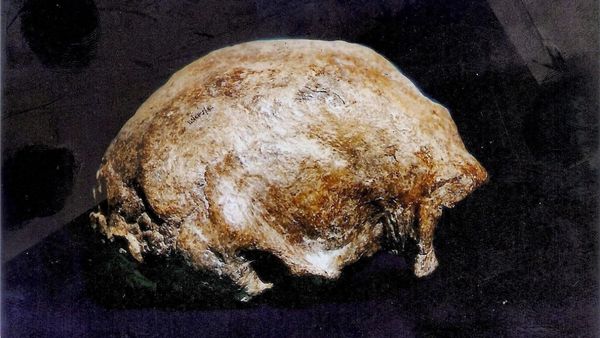 1925 में किया गया था परिभाषित