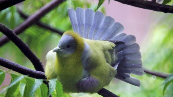 खर्च हो सकते हैं 3 लाख