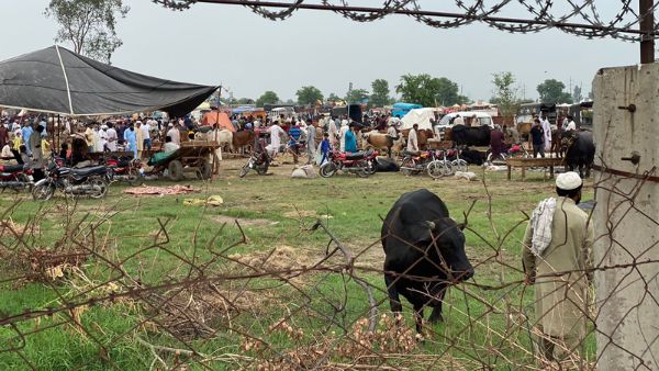 यूनिवर्सिटी बनाने का सपना हुआ बर्बाद