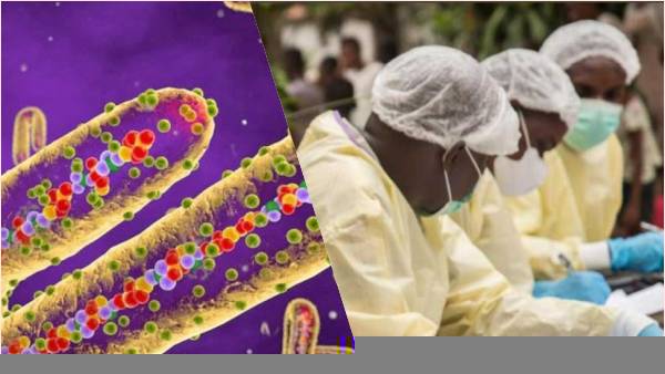 वायरस मचा रहा तबाही