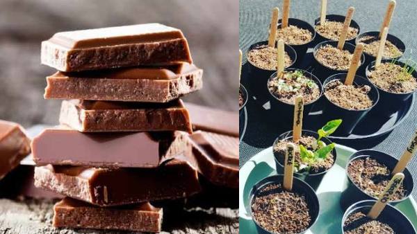 केमिकल इंजीनियर का आइडिया