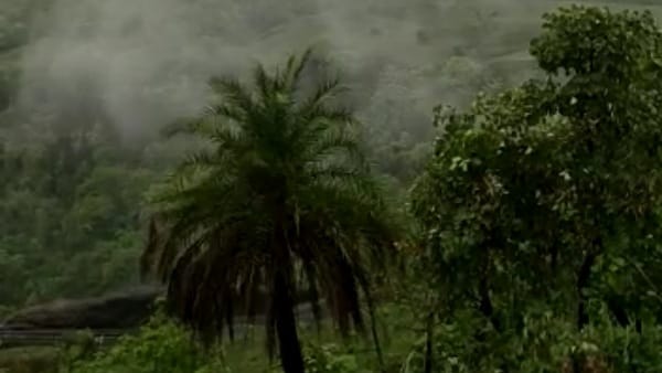 ऐसे पहुंच सकते हैं पातालपानी 