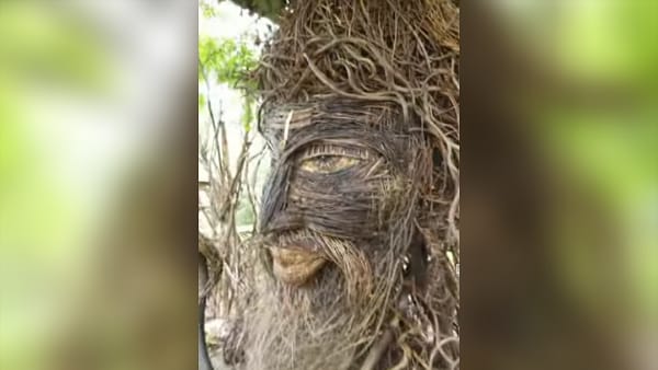 सोशल मीडिया पर छाई कलाकृति 