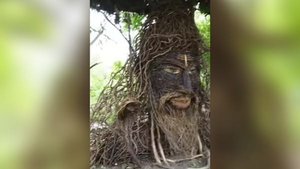 युवाओं की मेहनत लाई रंग 