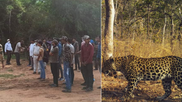 आदर्श इको टूरिज़्म आदर्श इको टूरिज़्म