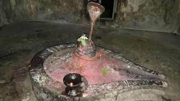 जिसने भी देखा वो हो गया पागल 