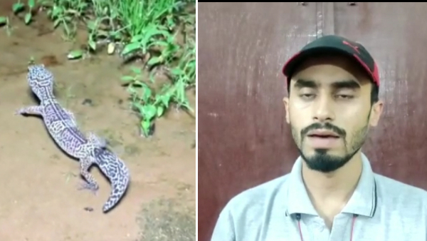 सर्पमित्र आदिल खान ने दी जानकारी