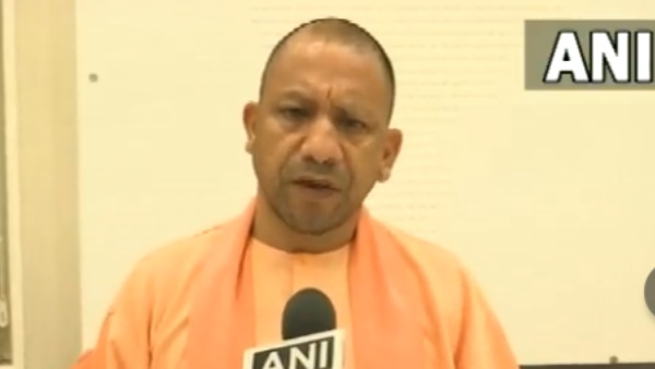 yogi yogi