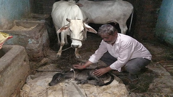 जन्‍मजात दोष है, यह व‍िसंगत‍ियों के कारण हो सकता है