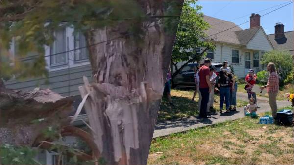 कैसे हुआ ब्लास्ट