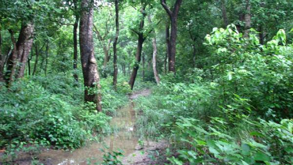 अलग-अलग प्रक्रियाएं दे रहे लोग