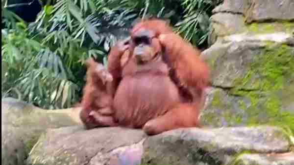 आधे घंटे में चार लाख व्यूज !